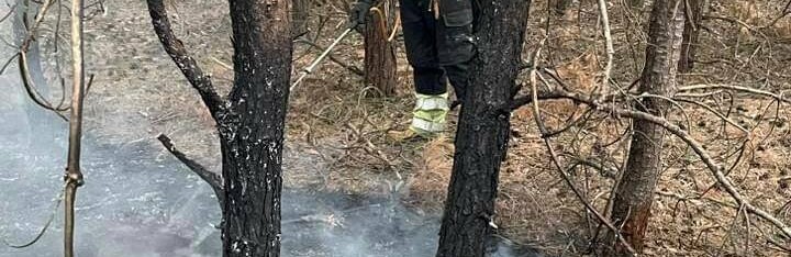 На Харківщині за добу окупанти обстріляли пʼять районів: поранено людину, горів ліс, пошкоджено будинки