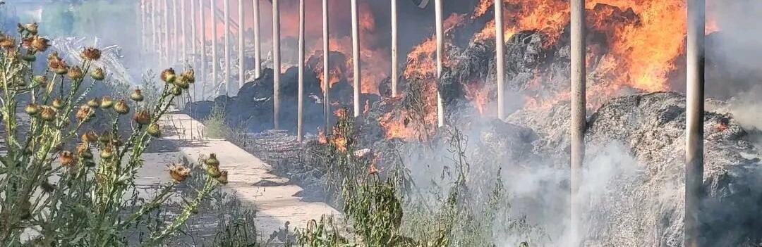 На Харківщині за добу окупанти обстріляли чотири райони: поранено жінку, пошкоджено 16 приватних будинків