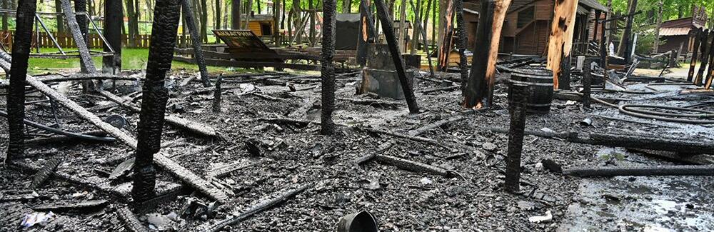 За час війни російські обстріли знищили у Харкові понад дві тисячі дерев