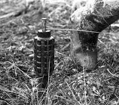 У Харківській області чоловік підірвався на розтяжці