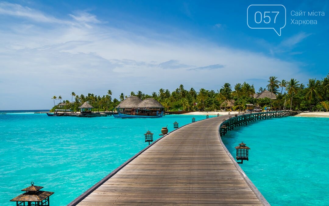 COCOON MALDIVES COCOON MALDIVES