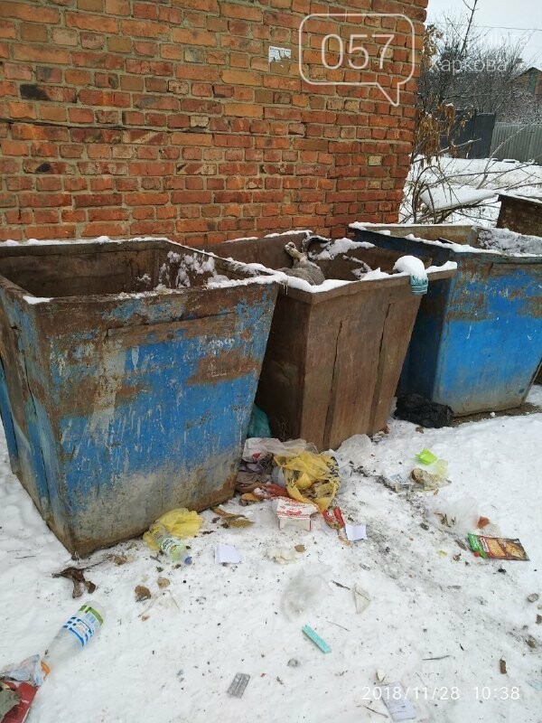 Под Харьковом неизвестные убили троих щенков. На животных е..., фото-1 Под Харьковом неизвестные убили троих щенков. На животных есть следы выстрелов, - ФОТО , фото-1
