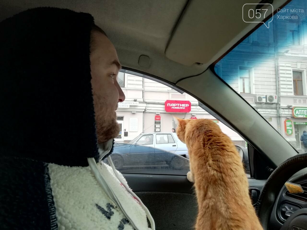 Поездка с котом и большие чаевые. Как харьковский таксист..., фото-16 Поездка с котом и большие чаевые. Как харьковский таксист с питомцем возит пассажиров, - ФОТО, фото-16