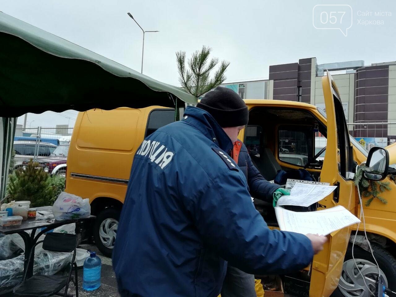 Покупка елки в Харькове. Полицейские и экологи рассказали,..., фото-19 Покупка елки в Харькове. Полицейские и экологи рассказали, как проверить, законно ли продают дерево, - ФОТО, фото-19