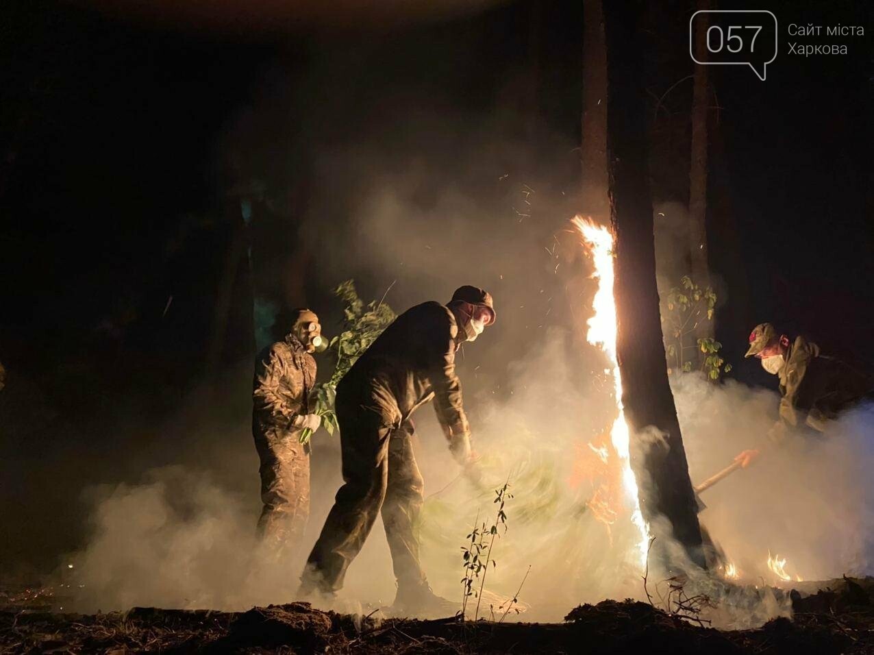"Горит лес, нужна помощь": как мы тушили пожар в Чугуеве, -..., фото-6 "Горит лес, нужна помощь": как мы тушили пожар в Чугуеве, - ФОТО, фото-6