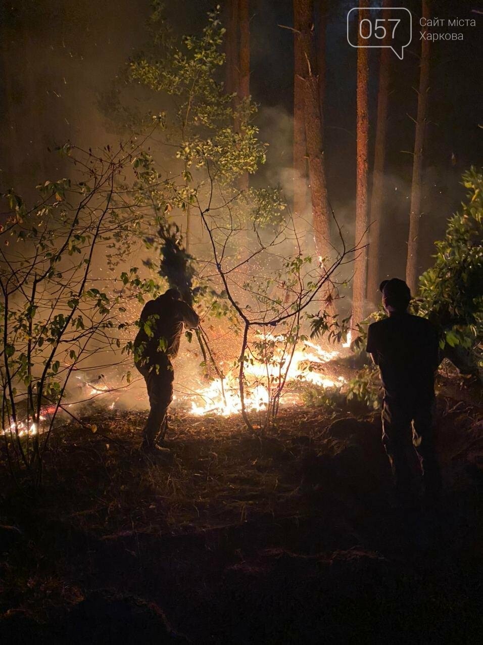 "Горит лес, нужна помощь": как мы тушили пожар в Чугуеве, -..., фото-3 "Горит лес, нужна помощь": как мы тушили пожар в Чугуеве, - ФОТО, фото-3