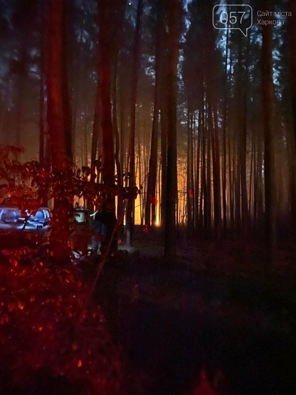"Горит лес, нужна помощь": как мы тушили пожар в Чугуеве, -..., фото-2 "Горит лес, нужна помощь": как мы тушили пожар в Чугуеве, - ФОТО, фото-2