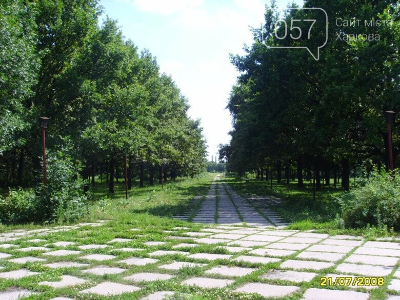 Фото из открытых источников Фото из открытых источников