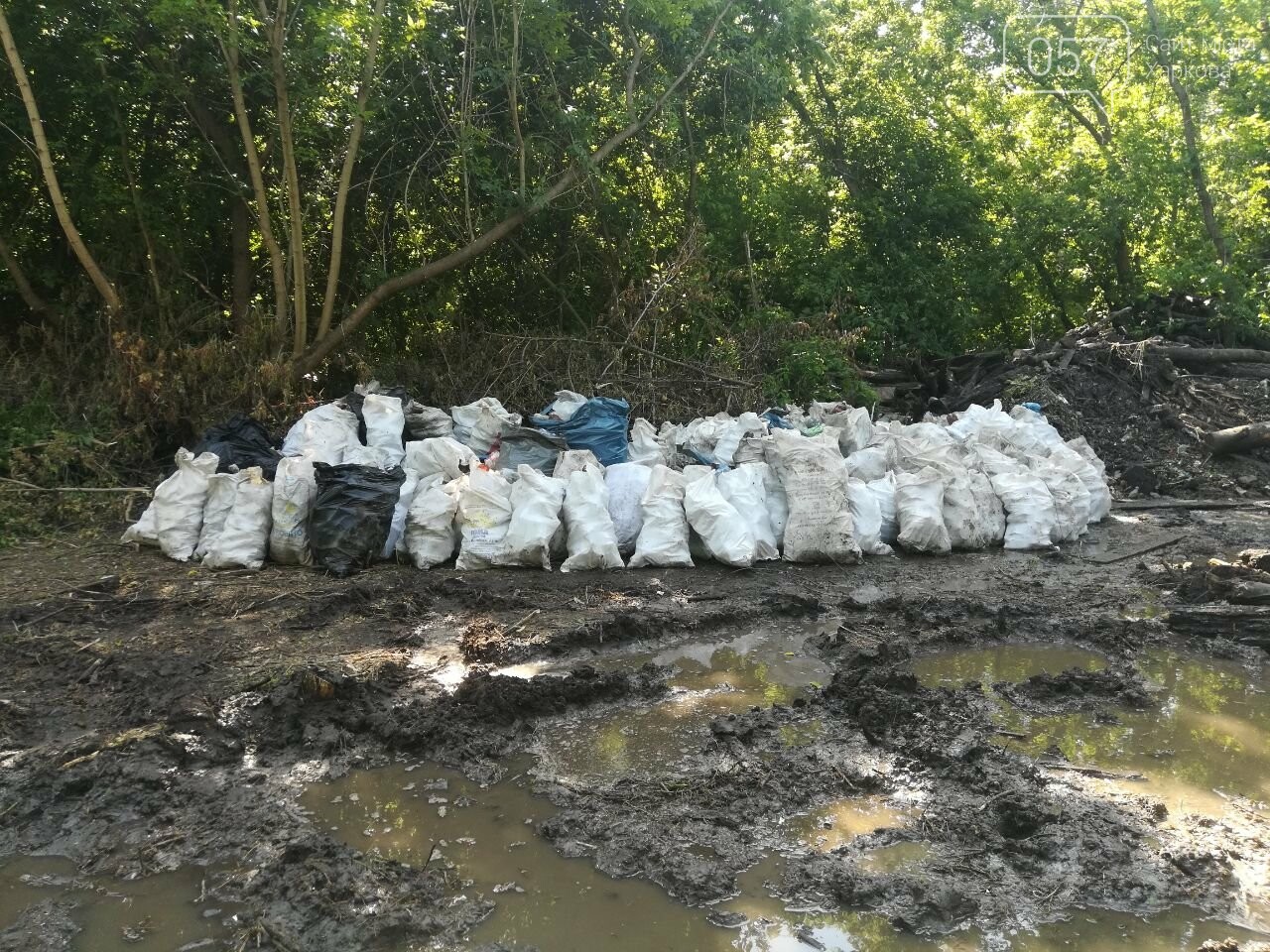 Фото: участники экоакции «Чистые Уды»