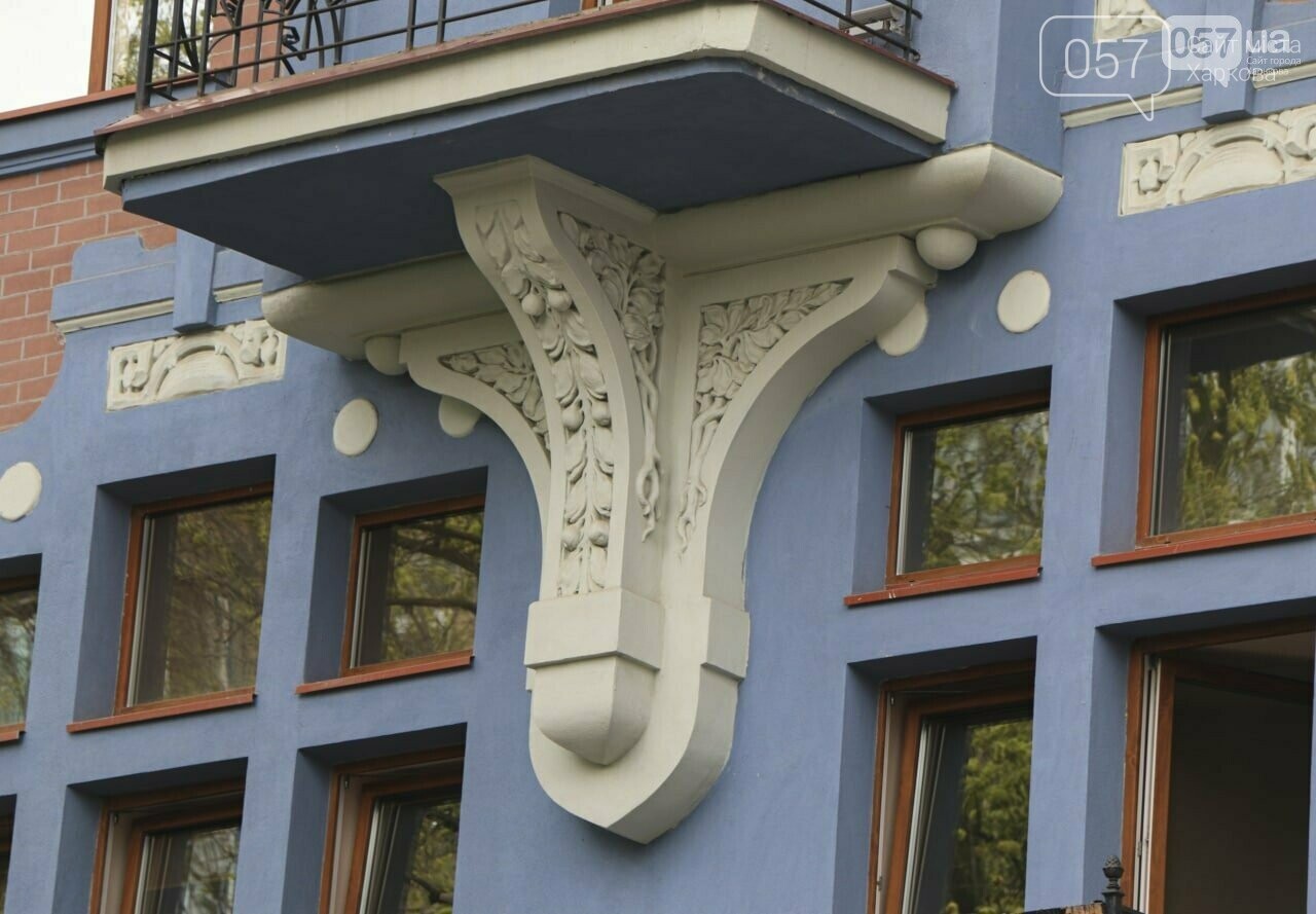 ТОП-5 замков в Харькове: история старинных зданий в центре города, - ФОТО, фото-13