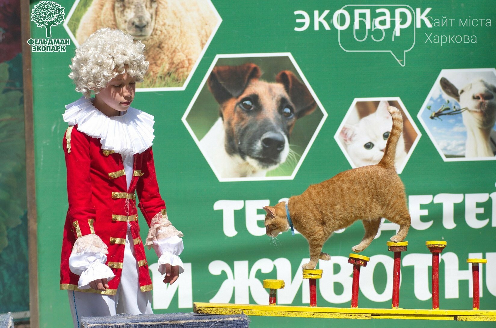 Международный день танца и День джаза 29-30 апреля 30 ...