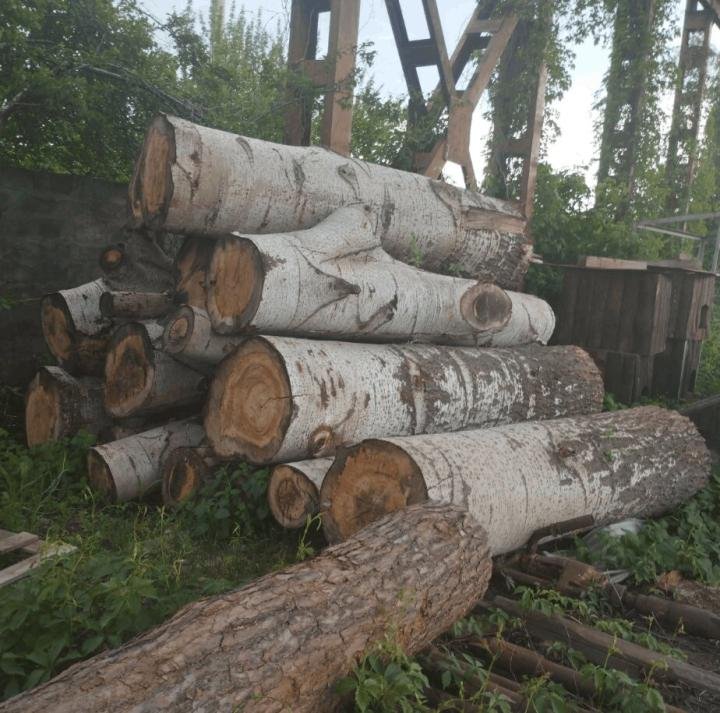 Логотип - ФОП Кобзар - розпиловка круглого лісу, торцовка, рейсмус, антисептична обробка, доставка