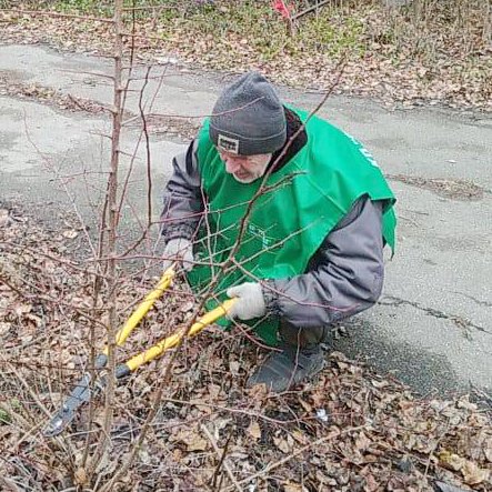 За минулий тиждень прибрано 24 га територій та вивезено 119 куб. м сміття. Крім того, комунальники обрізають сухі гілки та видаляють паросль.