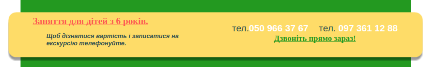 Проект інтелект України, фото-3