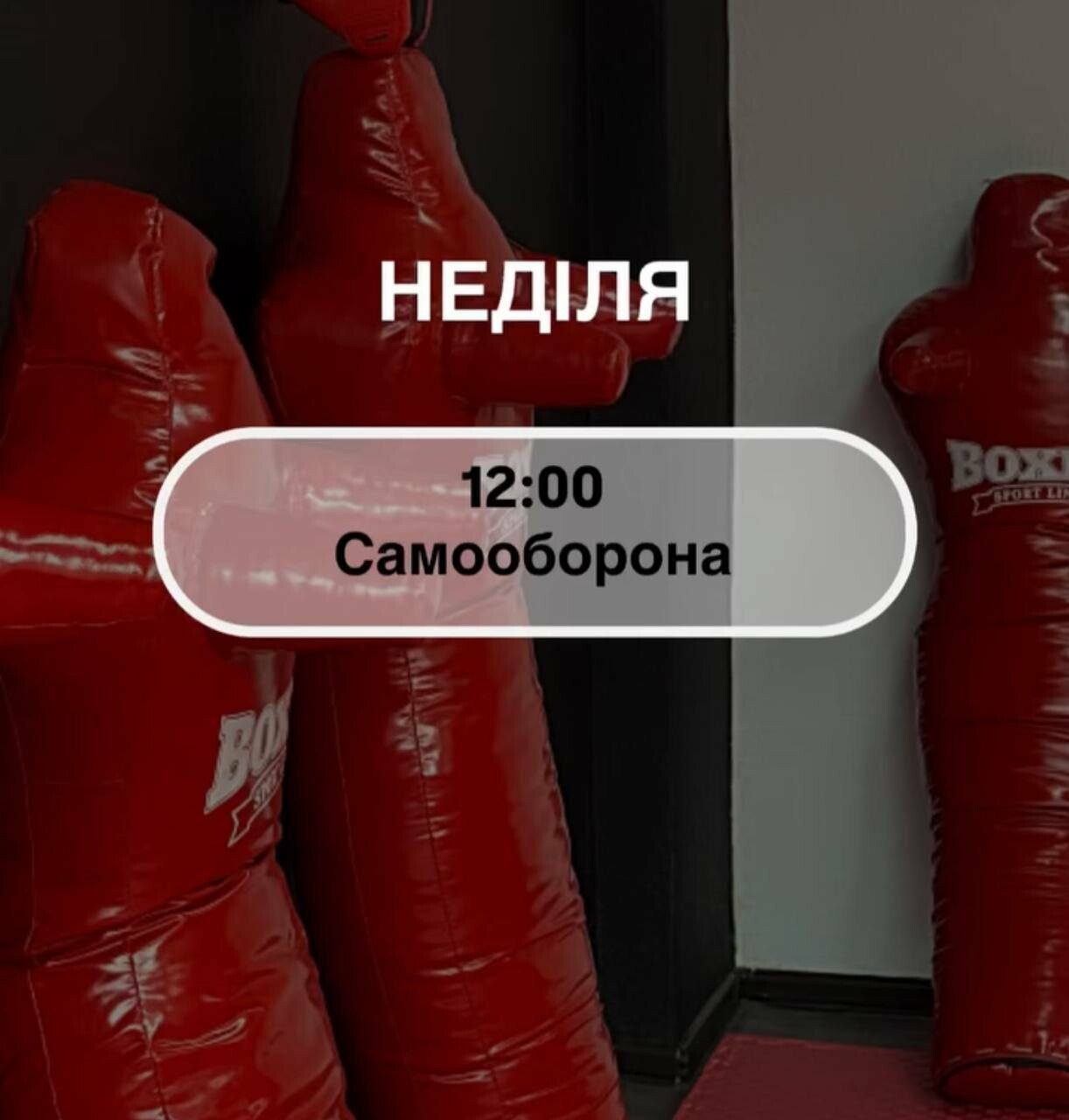 Розклад тренувань у F.club, фото-4