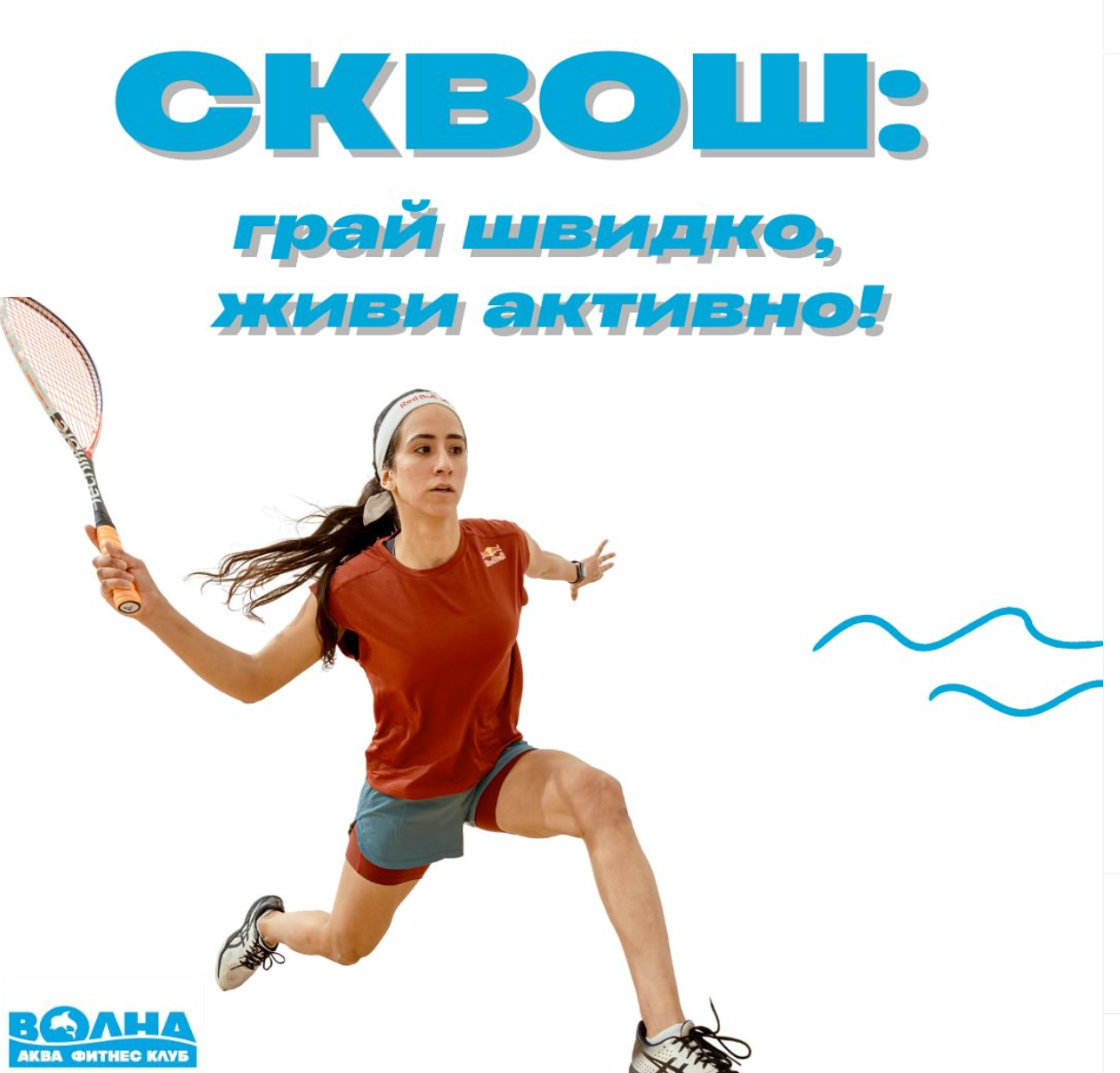 Сквош, фото-1