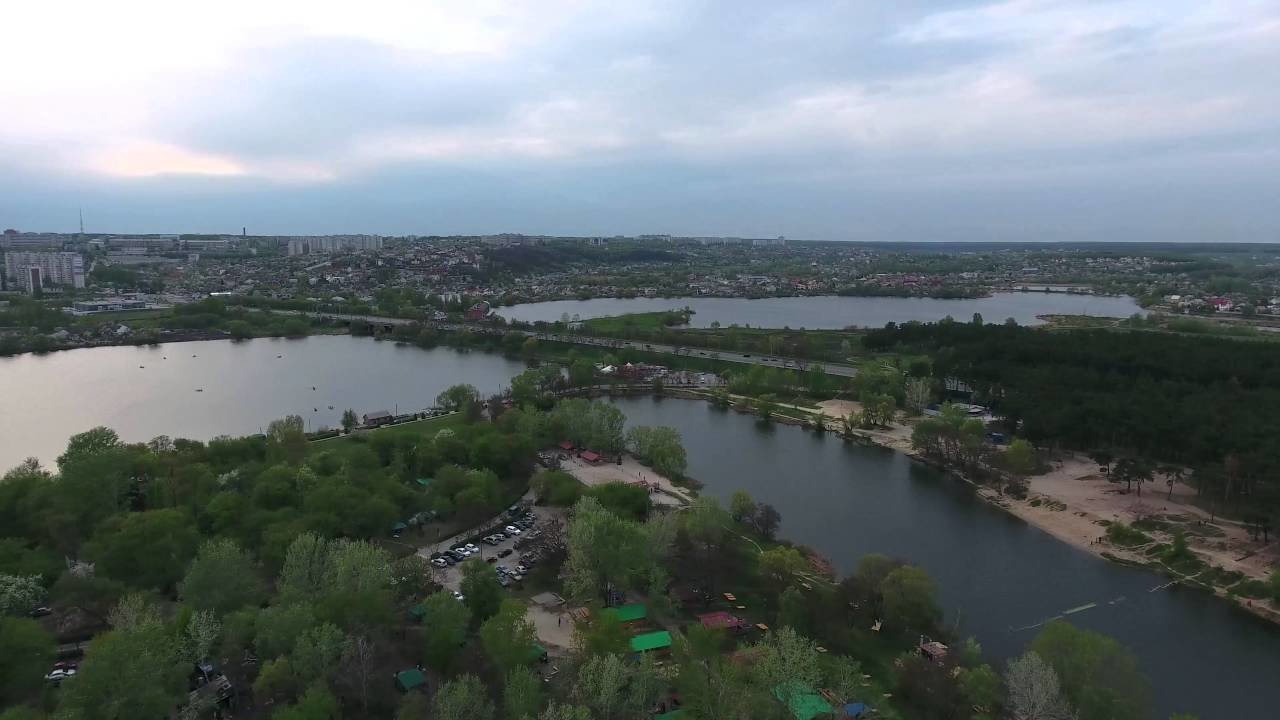 фото: соцсети фото: соцсети