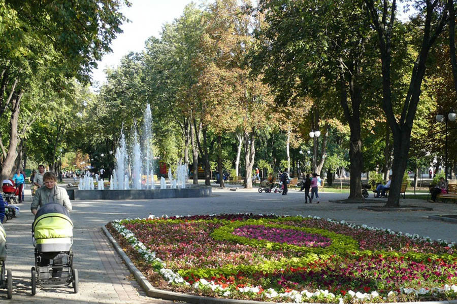 фото: соцсети фото: соцсети