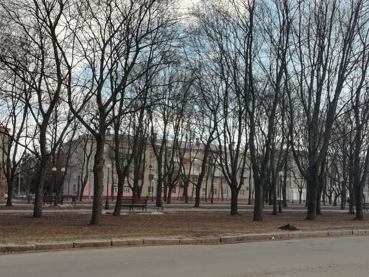 фото: соцсети фото: соцсети