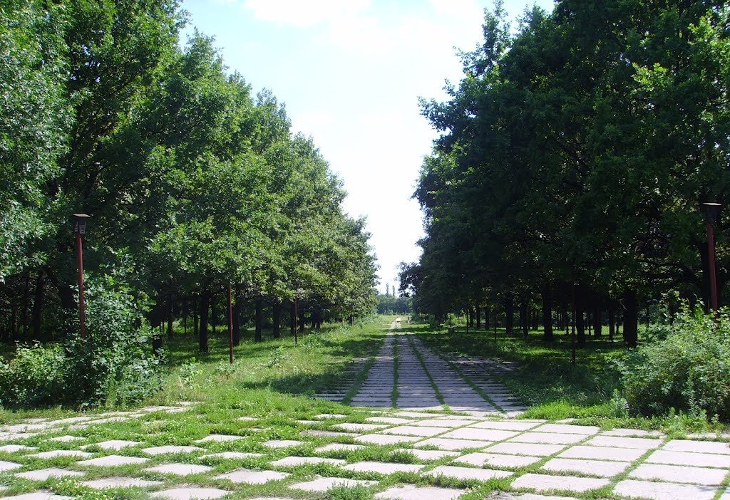 фото: соцсети фото: соцсети