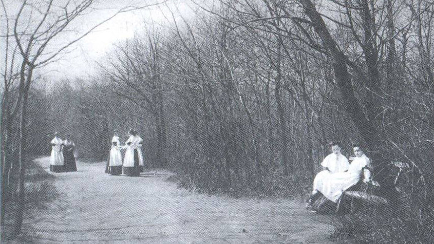 Пожертвования от князей и оккупация: история харьковского б..., фото-2 Пожертвования от князей и оккупация: история харьковского ботанического сада, - ФОТО, фото-2