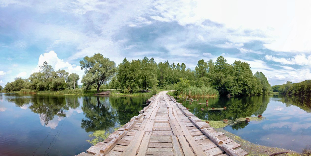 фото: соцсети фото: соцсети