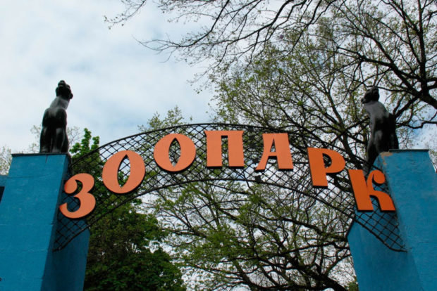 Теневая сторона госзакупок в Украине и Европе: коррупционны..., фото-2 Теневая сторона госзакупок в Украине и Европе: коррупционные схемы и растрата средств, - ФОТО, фото-2