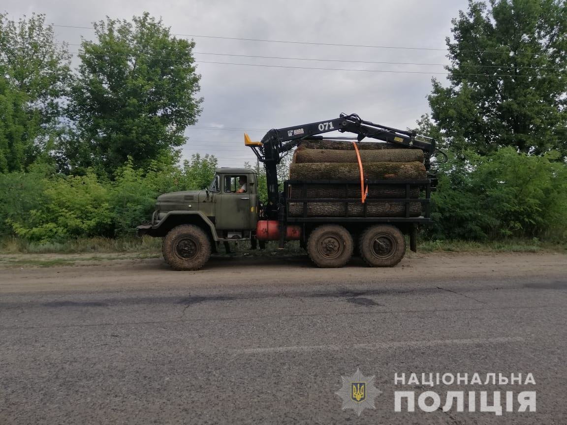 Гайцы остановили фото