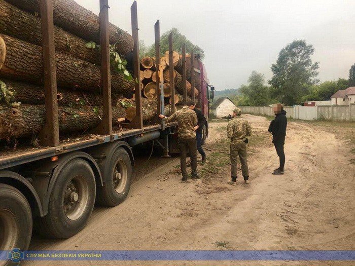 Результаты выборов в Харькове и попытка рейдерского захвата..., фото-5 Результаты выборов в Харькове и попытка рейдерского захвата. Самые важные события за прошедшую неделю, - ФОТО, фото-5