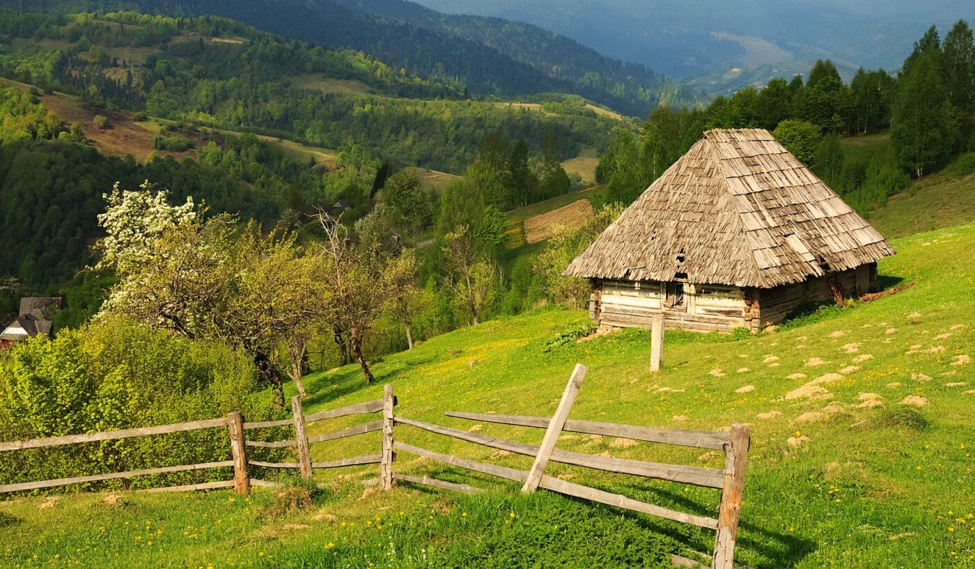 фото: соцсети фото: соцсети