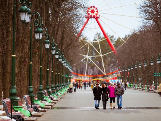 Лесопарк дубки подольск фото