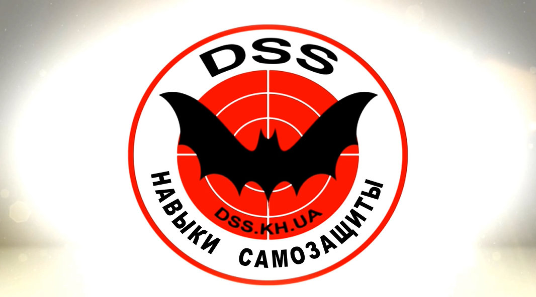 DSS уроки самообороны в Харькове DSS уроки самообороны в Харькове