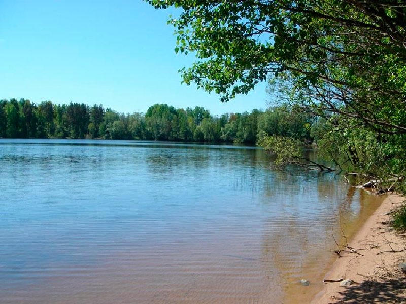 Реки в бассейне оки