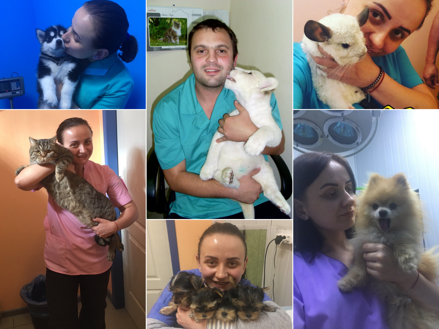 Домашние животные и все для них. Советы от 057.ua, фото-1 Домашние животные и все для них. Советы от 057.ua, фото-1
