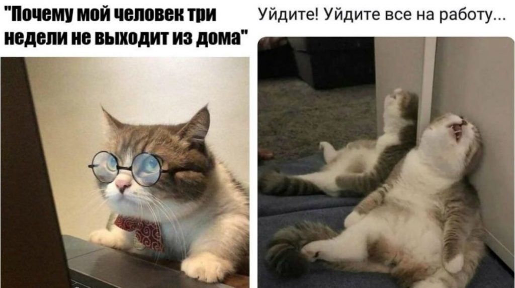 Резултат с изображение за „шутки“