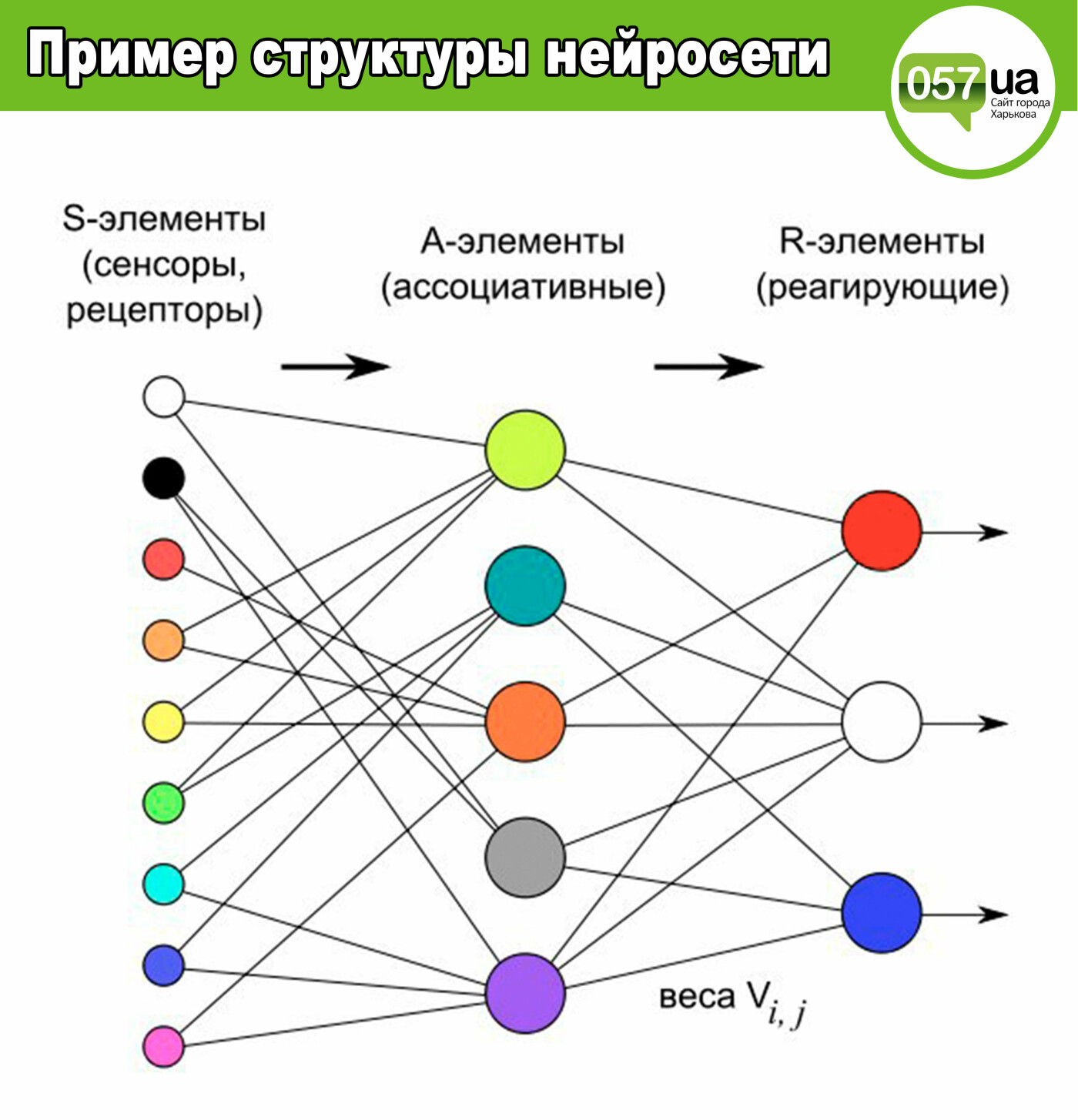 Хонда нейро как принимать