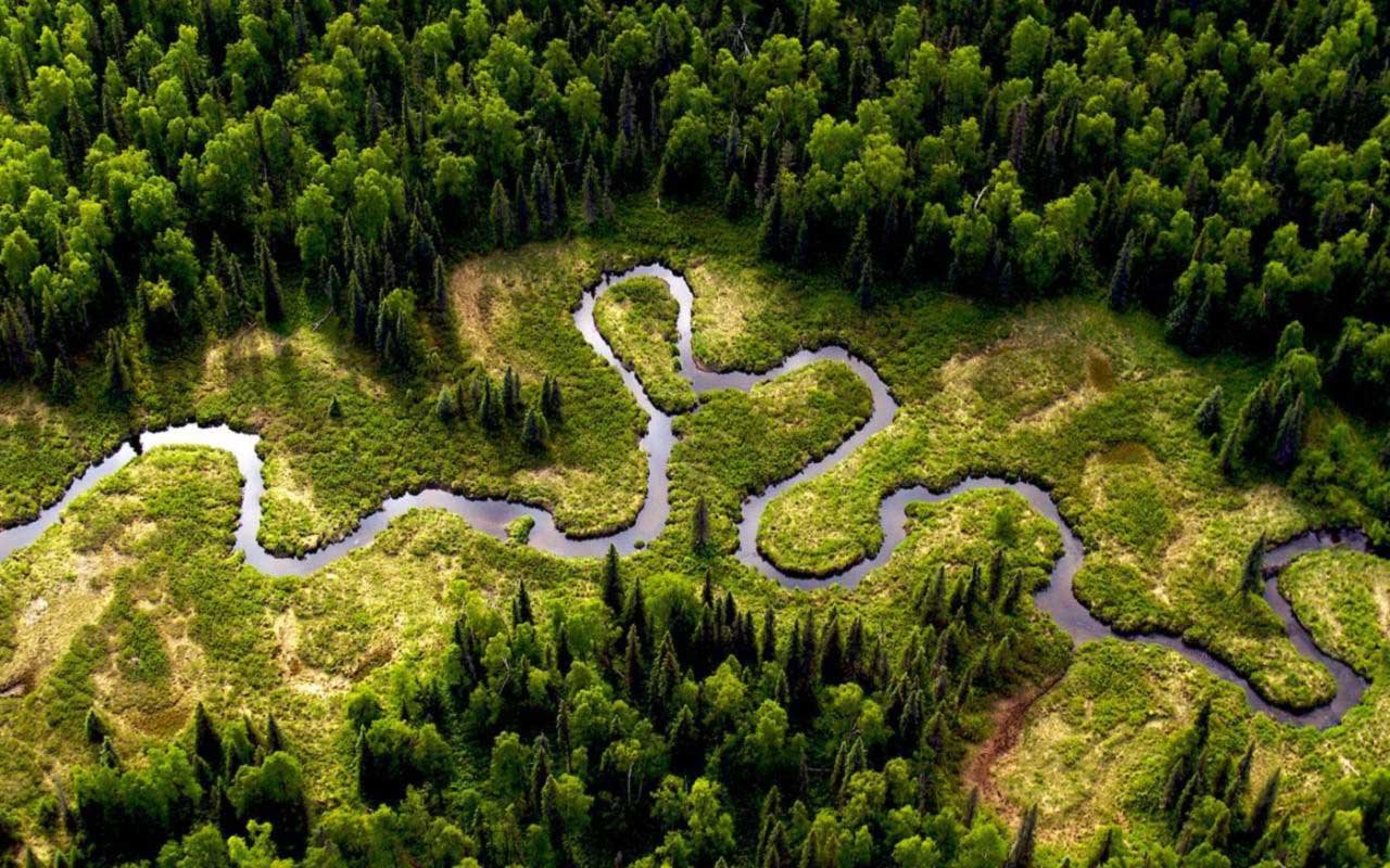 Фото - открытые источники Фото - открытые источники
