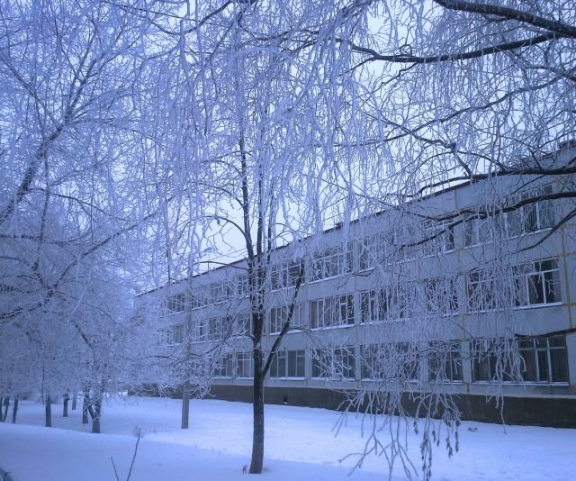 Фото - из открытых источников