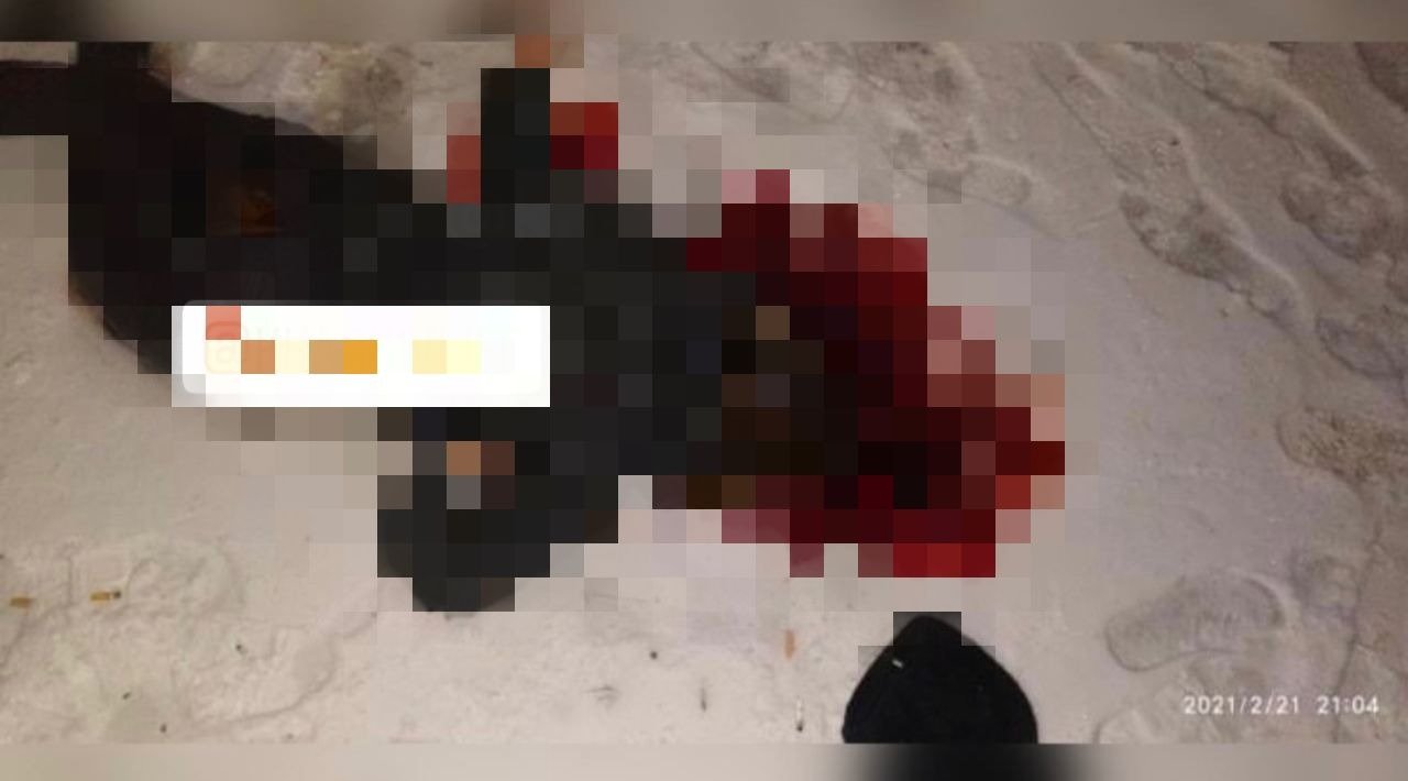 Фото:  Харьков Life