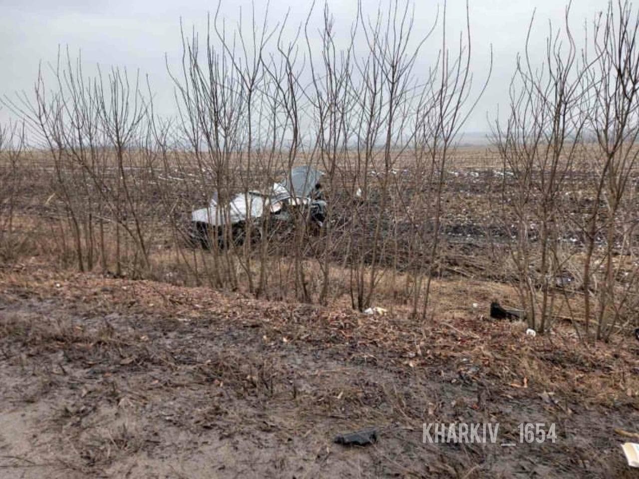 "Машину откинуло на поле": на Харьковщине в ДТП пострадали шесть человек, среди них - 6-летний ребенок, - ФОТО, фото-2