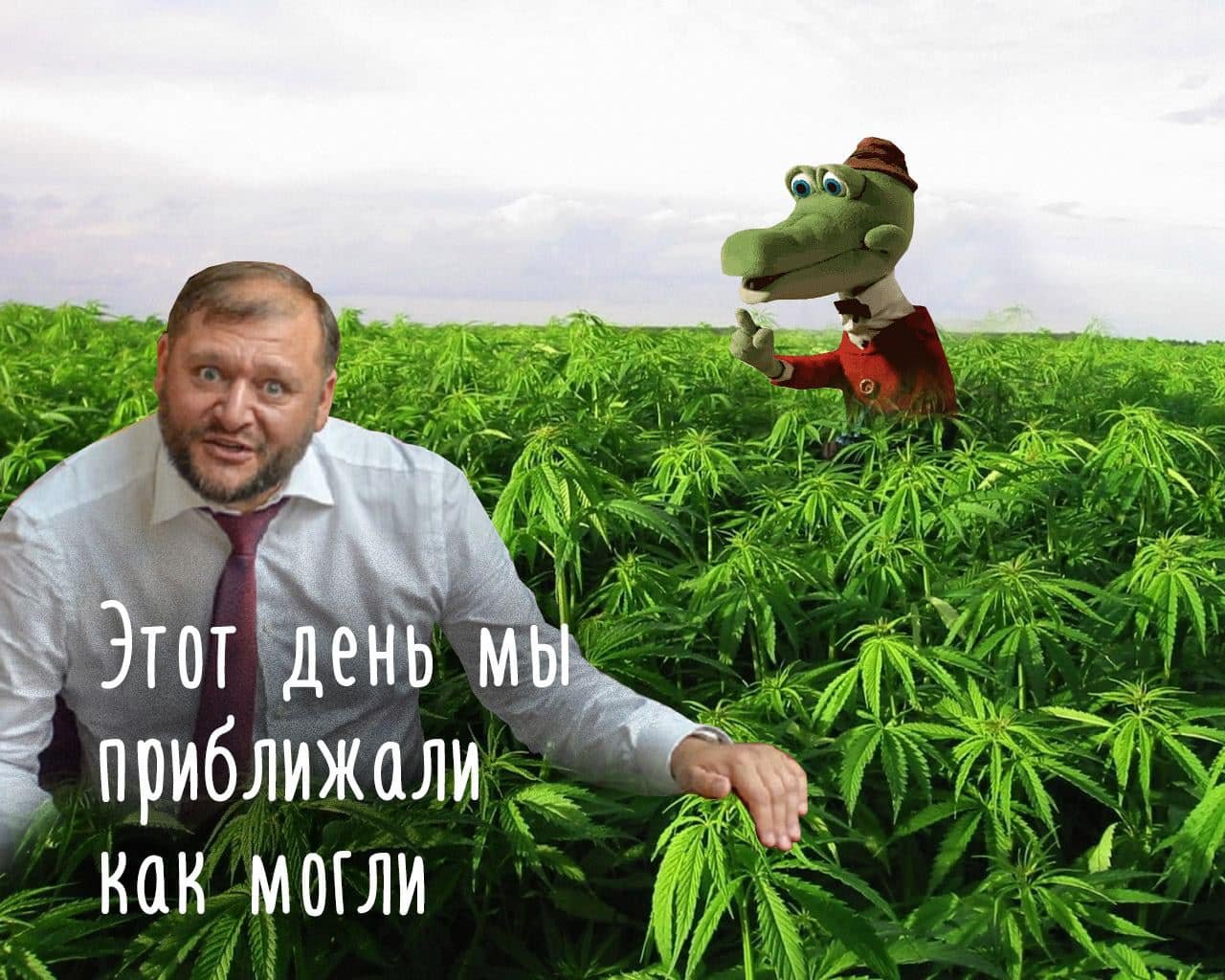 Добкин, Зеленский и «Коксохим». Как харьковчане отреагировали в соцсетях на легализацию медицинского каннабиса, - ФОТО, фото-10