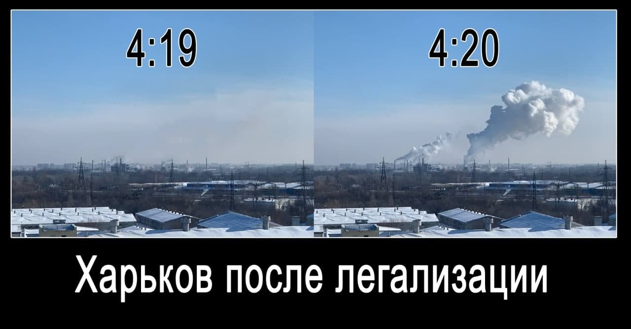 Добкин, Зеленский и «Коксохим». Как харьковчане отреагировали в соцсетях на легализацию медицинского каннабиса, - ФОТО, фото-6