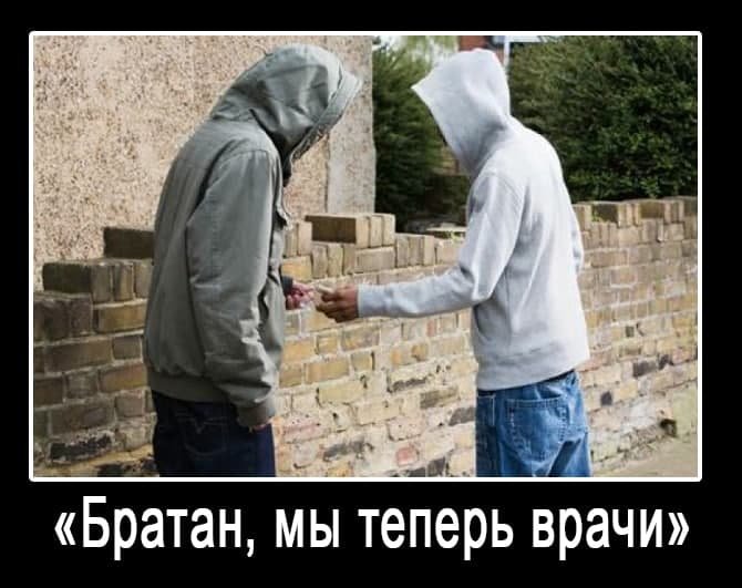 Добкин, Зеленский и «Коксохим». Как харьковчане отреагировали в соцсетях на легализацию медицинского каннабиса, - ФОТО, фото-2