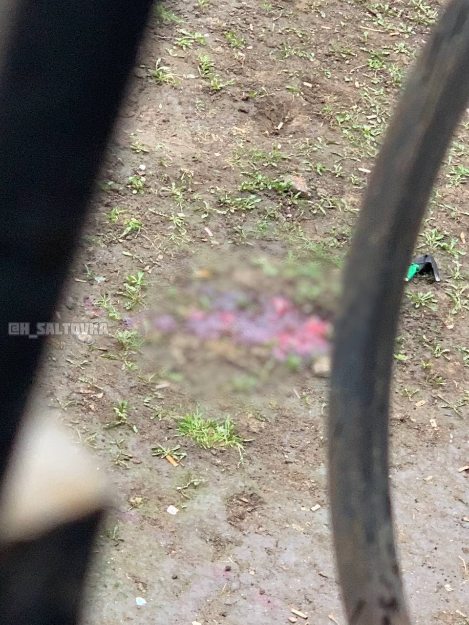 фото с соц сетей