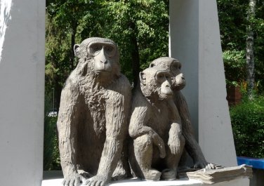 Медведи с «ожирением», обезьяны в Госпроме и застреленный..., фото-5 Медведи с «ожирением», обезьяны в Госпроме и застреленный жираф в подъезде: история старейшего зоопарка Украины, фото-5