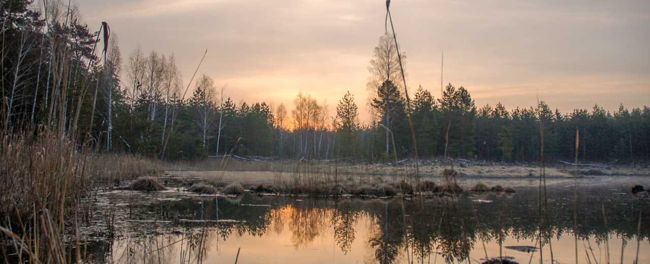 ФОТО: открытые источники