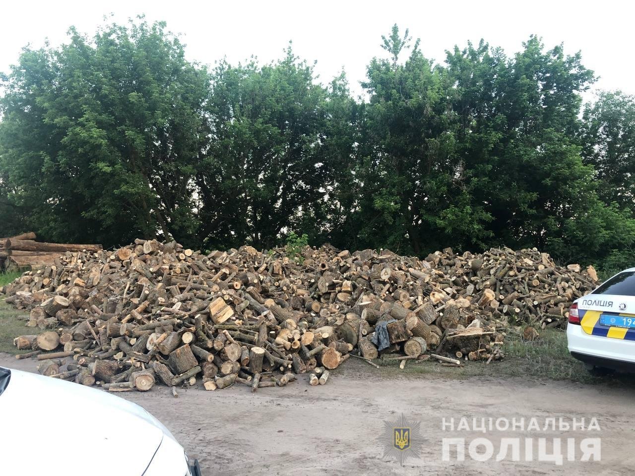 Фото: ГУНП области