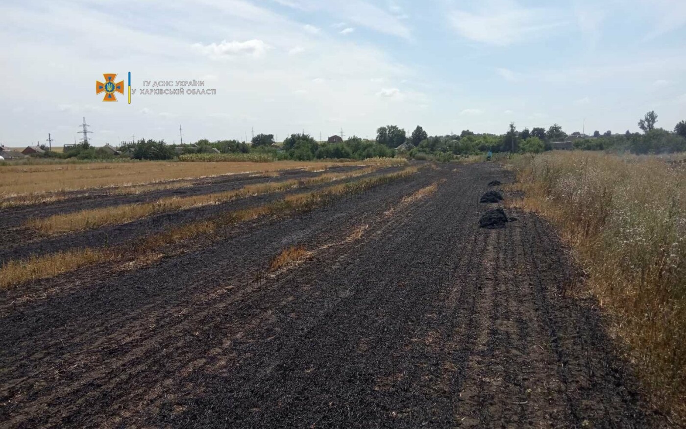 В Харьковской области за сутки спасатели тушили почти три десятка пожаров на открытых пространствах, - ФОТО, фото-5