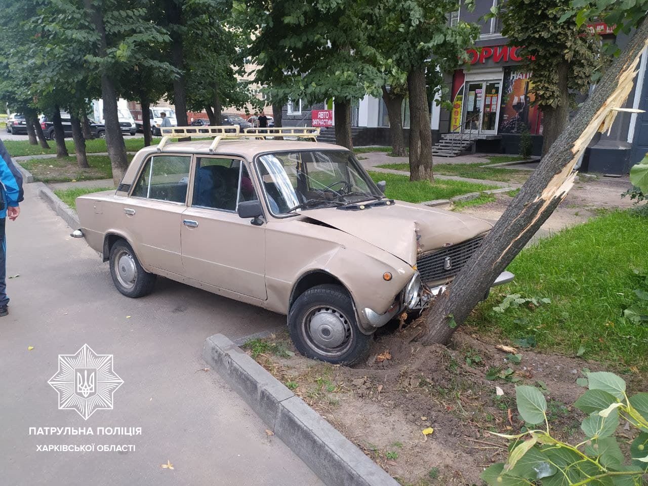 Алкоголь превышал норму более чем в 14 раз: в Харькове пьяный водитель легкового авто врезался в дерево, - ФОТО