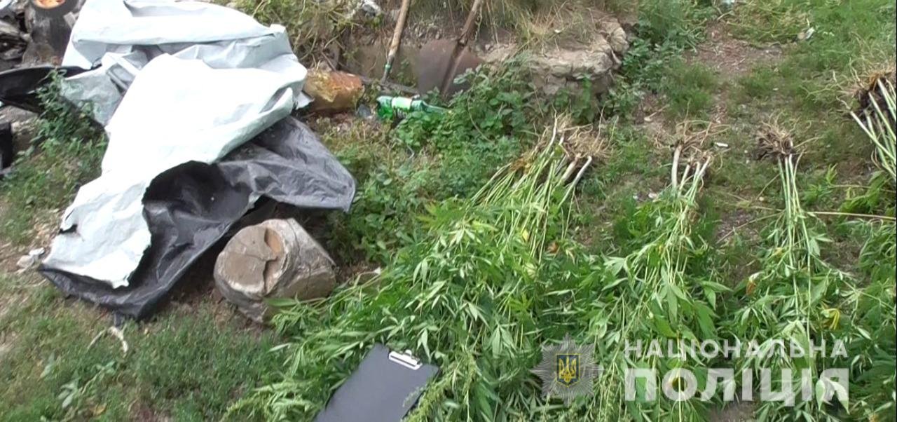 На Харьковщине силовики «накрыли» плантацию наркотиков, которые выращивал местный житель, - ФОТО